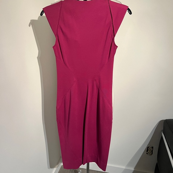 Diane von Furstenberg, “Grace” dress Tulip Pink, Size 4 - Picture 2 of 6